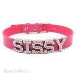Collar choker Sissy Gargantilla BDSM fetish sumisa bondage slut femdom Rosa
